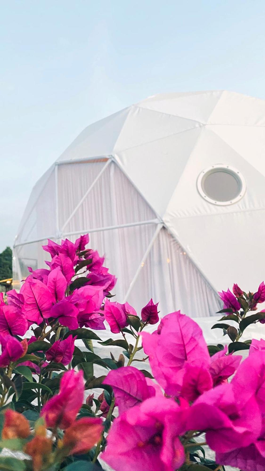 El Gato Glamping Con Vista A Prismas Basalticos 호텔 우아스카 데 오캄포 외부 사진
